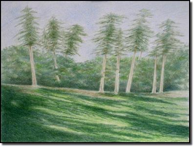 greenshadows1305cp