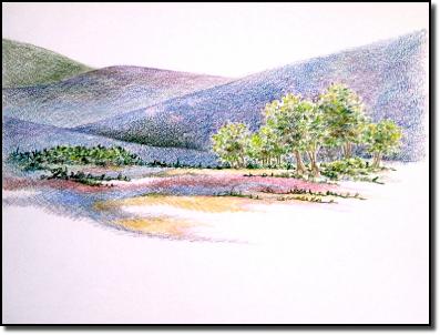 grovetrees1306a